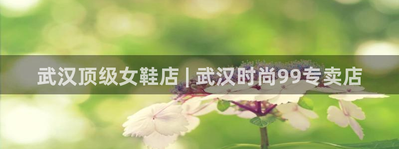 ag娱乐官网官方网站